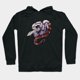 Boa Constrictor 1 Hoodie